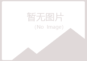 龙岩新罗宿命培训有限公司